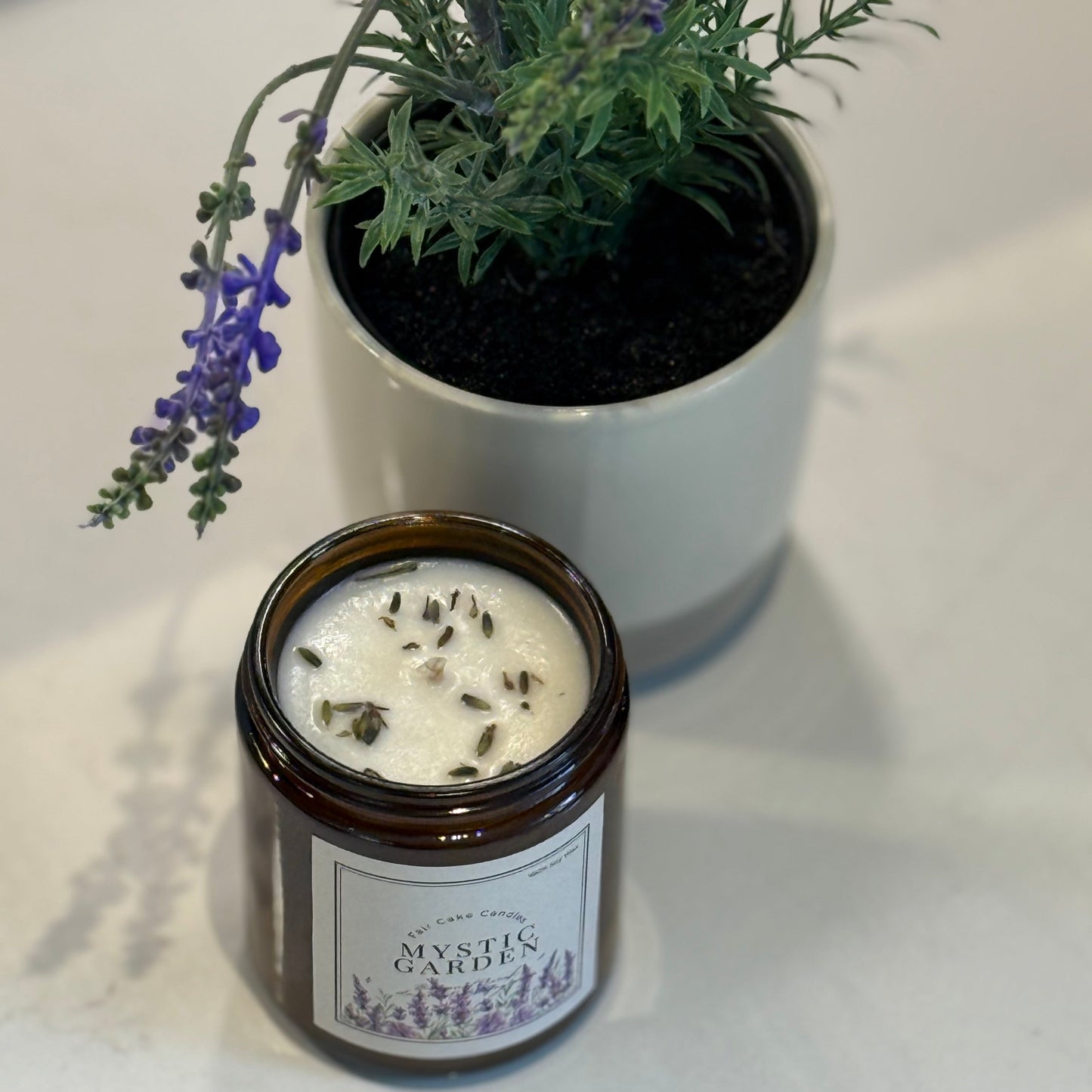 Mystic garden lavender candle by Fair Cake Candles next to a lavender plant pot.