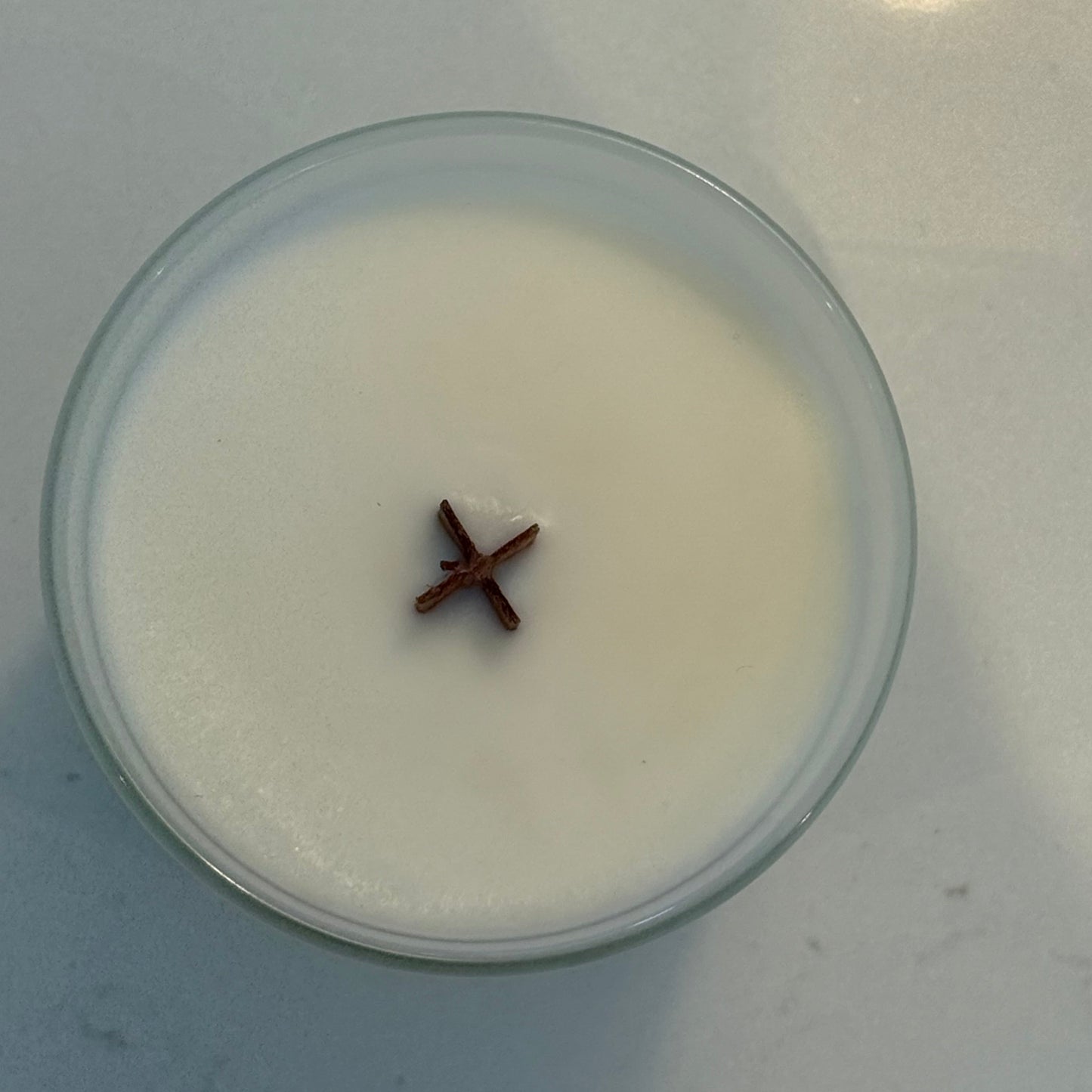 Black Amber and Lavender | Coconut Soy Wax Candle