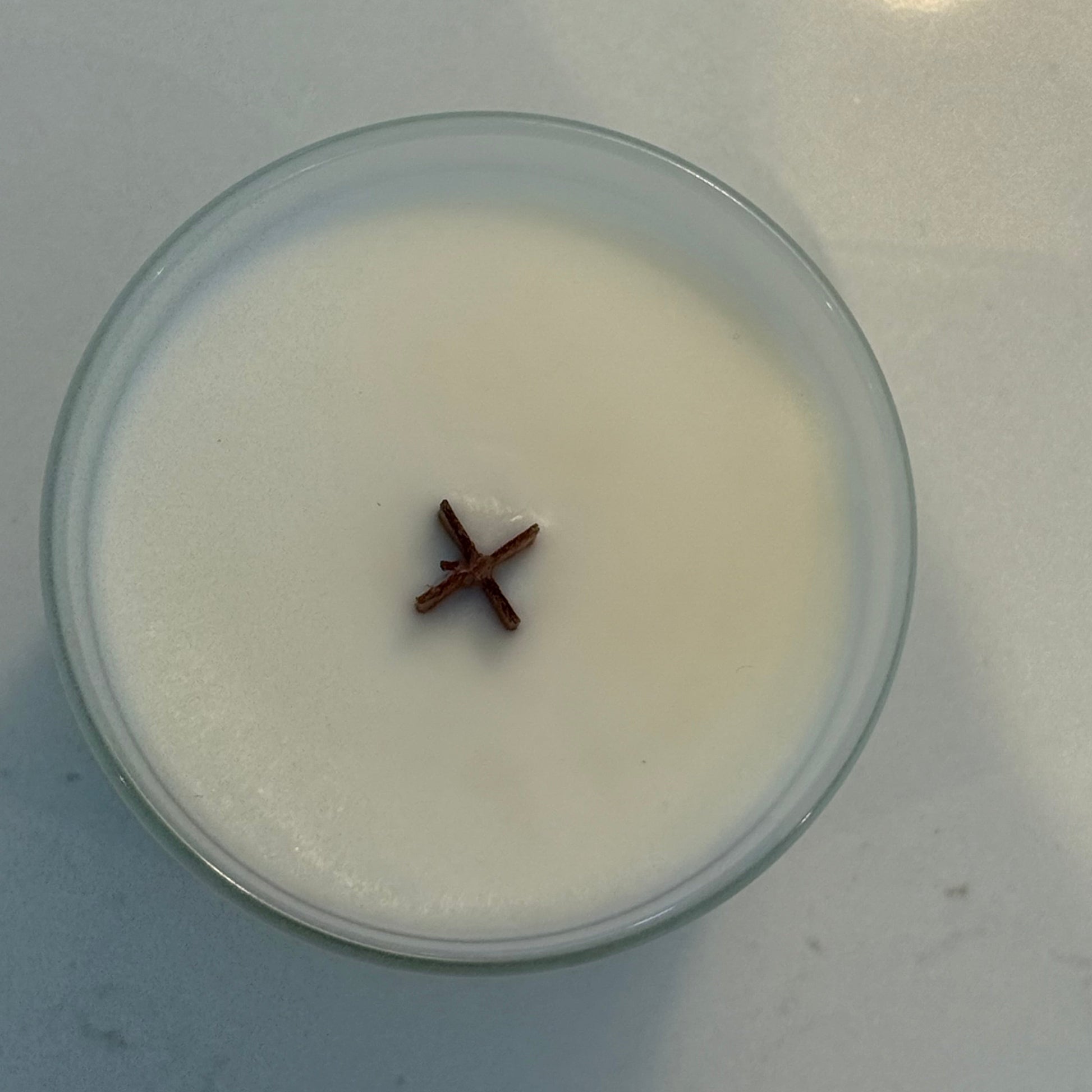 Candle with a star-shaped wick on a white background
