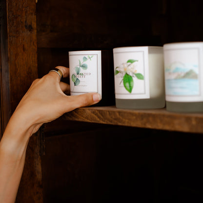 Enchanted Forest: Eucalyptus Scented Essential Oil Candles